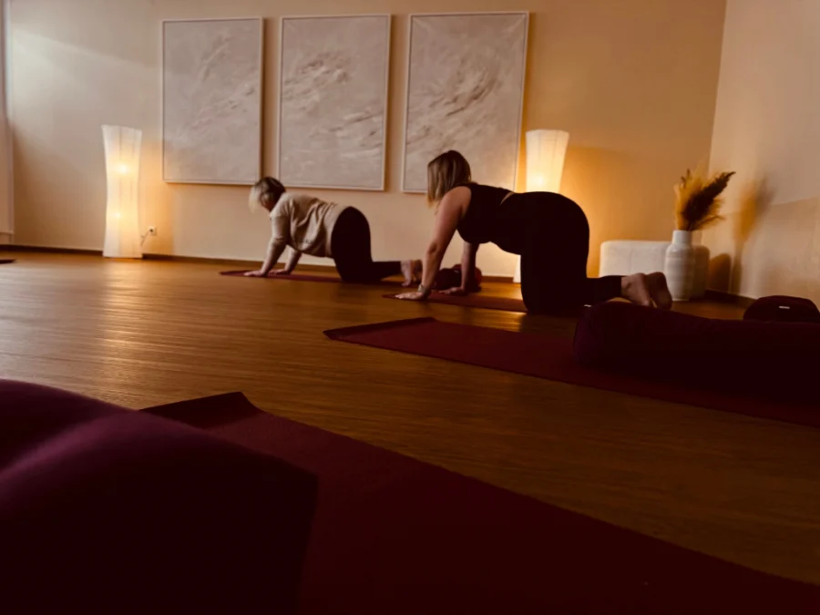 Powerhouse prenatal – Kräftigendes Beckenbodentraining für schwangere Frauen